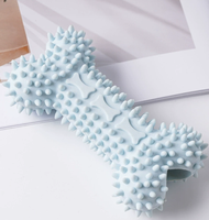 Jouet à mâcher dentaire en forme d'os, design creux découpé, en caoutchouc thermoplastique, élimine le tartre, maintient la santé bucco-dentaire, pour petits chiens adultes