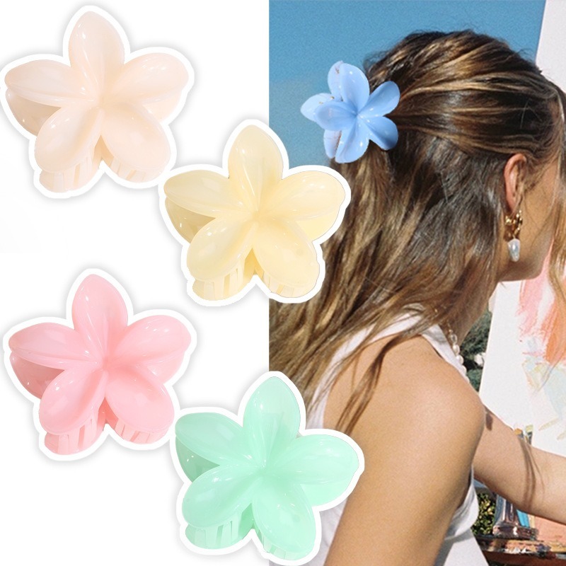 3pcs New Wholesale Korean Colorful Hawaii