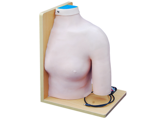 Modelo de Inyección Intracavitaria en Articulación del Hombro <span class=keywords><strong>Humano</strong></span>, Modelo de Entrenamiento para Punción e Inyección Guiada <span class=keywords><strong>por</strong></span> Ultrasonido, Uso Médico - Product Image 1