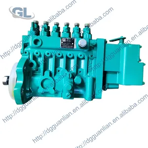 High pressure Diesel Fuel Injection Pump For BYC Generator 4941011 for Cummins 6CT Engine