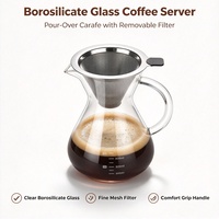 Ensemble de cafetière à filtre manuelle, cafetière en verre résistant à la chaleur avec filtre en maille métallique, bouilloire à eau froide et chaude pour la cuisine