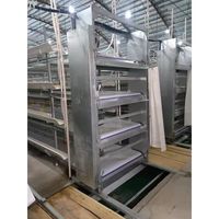 Cages à poulets galvanisées multicouches de haute qualité avec moteur conçu pour l'élevage de poulets, alimentation automatique, longue durée de vie