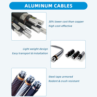 3-adriges 300mm² YJLV22 0,6/1kV Aluminium-Armiertes Stromkabel für Untertagebau