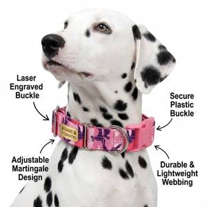<span class=keywords><strong>Collar</strong></span> Martingale YG-109, Rayado, Transpirable, Personalizado, Deportivo, de Nailon con Cinta Reflectante - Product Image 3