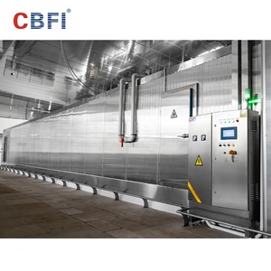 Túnel de Congelación Rápida Industrial IQF, Máquina de Congelación Rápida para Vegetales y <span class=keywords><strong>Berenjenas</strong></span> - Product Image 3
