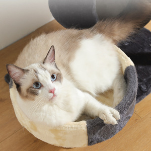 <span class=keywords><strong>Arbre</strong></span> <span class=keywords><strong>à</strong></span> <span class=keywords><strong>chat</strong></span>, poste <span class=keywords><strong>à</strong></span> gratter pour chaton, maison de luxe, support couvrant le Sisal - Product Image 3