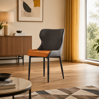 Chaise de salle à manger au design minimaliste à prix d'usine mobilier moderne hôtel restaurant de luxe chaises de salle à manger nordiques en cuir et métal