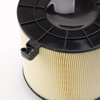 Filtro de aire del motor 8W0133843E 8W0133843B C17012/1 para AUDI A4 A5 B9