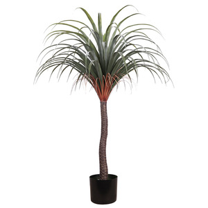 Venta de Fábrica, Planta Artificial de Bonsái de <span class=keywords><strong>Agave</strong></span> de Sangre de Dragón de Alta Calidad para Decoración del Hogar - Product Image 1