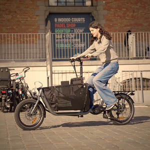 Sensor de Torque para Bicicleta, Fabricante Chino, 20 Pulgadas, Europeo, 2 Ruedas, Bicicleta Eléctrica Mini, Disponible en Nuestro Almacén de la UE - Product Image 1