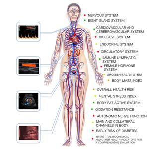Körpermasse messung <span class=keywords><strong>Human</strong></span> <span class=keywords><strong>Body</strong></span> Analyzer <span class=keywords><strong>Test</strong></span> Drucker <span class=keywords><strong>Health</strong></span> <span class=keywords><strong>Body</strong></span> <span class=keywords><strong>Machine</strong></span> für Elder Care Center - Product Image 5