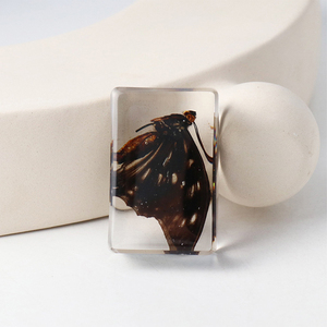 Beau vrai <span class=keywords><strong>papillon</strong></span> <span class=keywords><strong>taxidermie</strong></span> spécimen résine motif Animal cadre Collection Unique biologique Photo affichage <span class=keywords><strong>taxidermie</strong></span> - Product Image 1