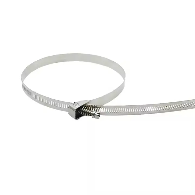 Assorted Nylon Cable Ties with Mounting Heads for DIY Projects