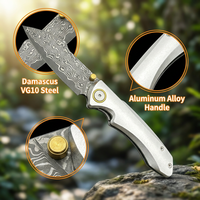 Couteau pliant tactique d'extérieur OEM VG10 Damas, couteau de poche à ouverture assistée avec manche en alliage d'aluminium, couteau à flipper personnalisé DM048