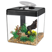 Kit d'aquarium de bureau carré en plastique avec couvercle, lumière LED, filtre, tout en un, avec pompe intégrée, ensemble d'aquarium nano pour betta