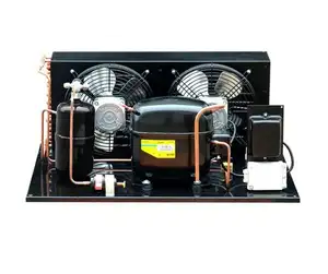 Pequeña unidad condensadora de compresor de refrigeración para función de refrigeración
