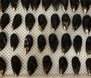 Se puede usar el arroz, - Product Image 6