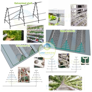 Hydroponic Greenhouse Shelves A-type PVC NFT Pipe Indoor Farm Leaf Vegetable Lettuce Growing <strong>Racks</strong> A Type Frame <strong>Vertical</strong> Nft - Product Image 5