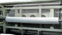 Machine à tisser automatique pour grillage hexagonal - Machine à tisser automatique pour grillage hexagonal pour clôture de poulailler / filet pour volailles, galvanisée