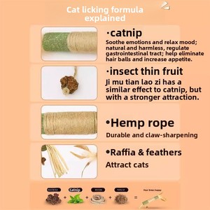 Bâtonnet de chat à la <span class=keywords><strong>catnip</strong></span> pour usage intérieur, soulagement du bruxisme, divertissement autonome, anti-ennui, résistant aux morsures, jouet pour chat en raphia, baguette de chat - Product Image 4