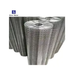 Welded Wire Mesh Galvanized Finest Price Factory Directly Supply Wholesale Galvanized Fence 2x4 Welded Wire Mesh Panel
