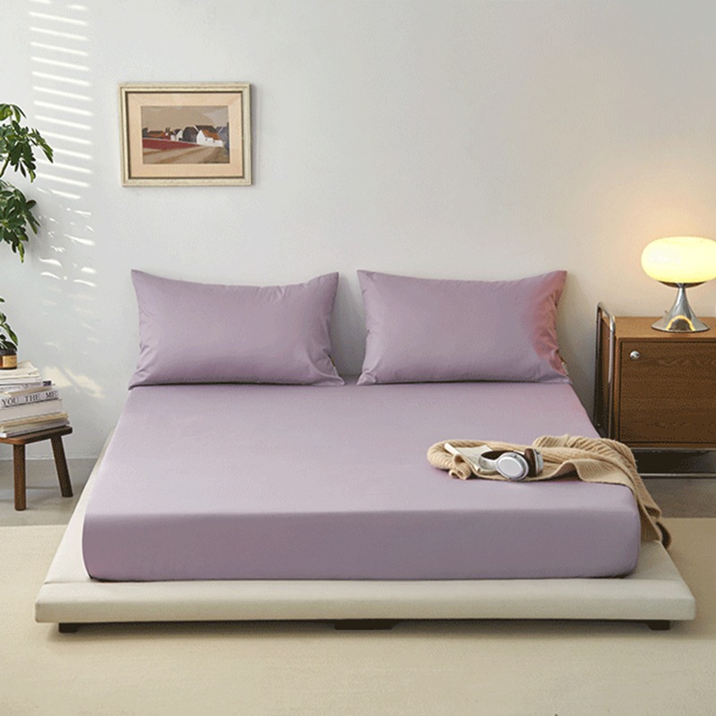 Pourpre taro