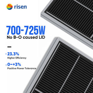 Paneles solares personalizados Trina Solar Eu Vertex Neg21c.20 695-720W tipo N Topcon bifacial 695W 700W 705W 710W 715W 720W Trina - Product Image 1