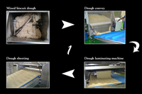 Ligne de production de biscuits à haut rendement entièrement automatique personnalisée en usine