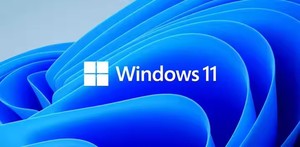 Win 11 <span class=keywords><strong>Pro</strong></span>  Versión Comercial/OEM - Product Image 4