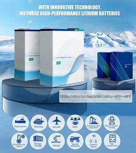 Новое поступление перезаряжаемые литий-ионные призматические элементы батареи безопасности Lifepo4 200Ah вилочный погрузчик хранение энергии-25 ℃ низкая температура - Product Image 3