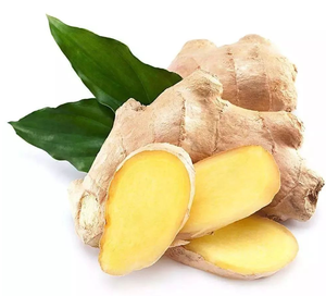 Zingiber officinale <span class=keywords><strong>Roscoe</strong></span> Extrait de racine de gingembre naturel Gingerols 5% 20% - Product Image 2