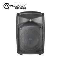 Enceinte active portable sans fil avec microphone Accuracy Pro Audio PMTT10D5-GO, caisson de basses DSP de 10 pouces, batterie rechargeable