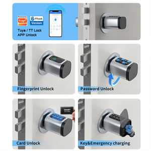 आउटडोर वाटरप्रूफ ट्यूया/टलॉक स्मार्ट सिलेंडर लॉक कीलेस फिंगरप्रिंट अनलॉक ओम डिजिटल इलेक्ट्रॉनिक यूरो लकड़ी स्मृति कार्ड - Product Image 2