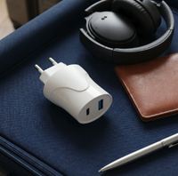 Chargeur mural UE avec sortie CC 5V 2.4A, double ports USB-A, charge rapide, certifié CE RoHS, prise UE pour ordinateur portable et téléphone portable