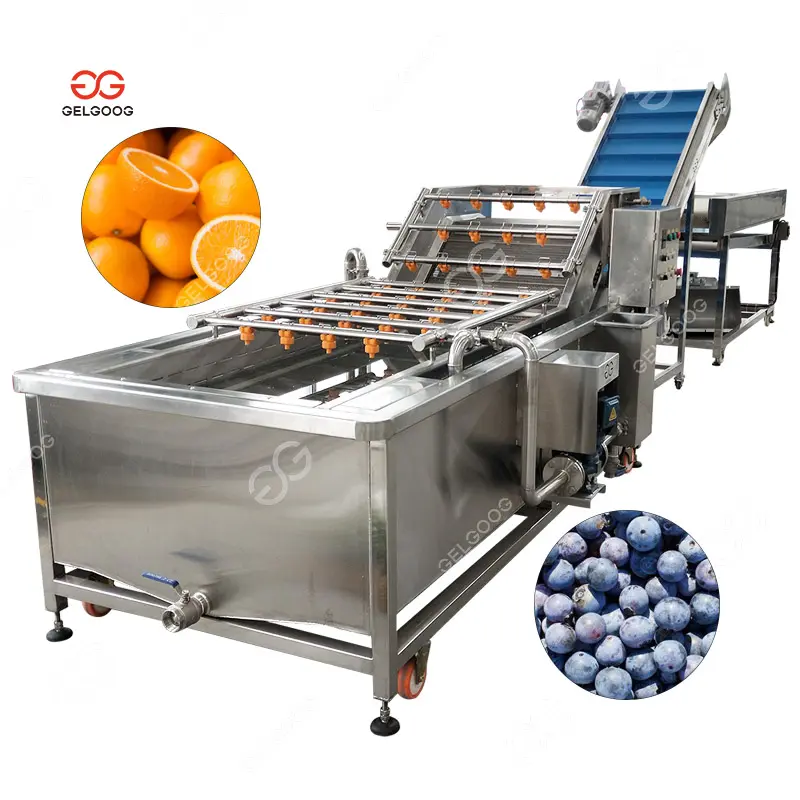 कन्वेयर प्रकार पोर्टेबल जड़ी-बूटियाँ संतरे वॉशर मशीन एयर बबल फल और सब्जी धोने के उपकरण