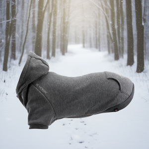 Sudadera con Capucha para Perro Be Nordic, Gris, Mediana, 45 cm, 60 cm, Ropa para Mascotas - Product Image 3