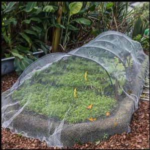 Meilleure vente longue durée de vie filet <span class=keywords><strong>anti</strong></span>-insectes agricole filet <span class=keywords><strong>anti</strong></span>-insectes pour serre - Product Image 2