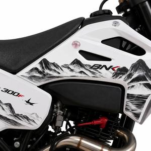 Motocicleta Todoterreno de 300cc, 4 Tiempos, a Gasolina, 16kW, 22Nm, Enduro, Motocross, para Carreras Fuera de Carretera, Fabricada en China - Product Image 4