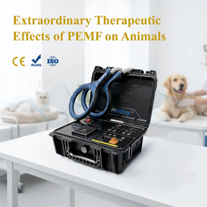 Máquina de Masaje Corporal Pemf Portátil con Entrenamiento Gratuito, Mejora la Elasticidad Muscular, Reduce el Dolor, Máquina Pemf para Perros y Gatos - Product Image 1