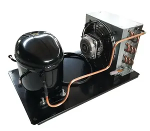 Unit Kondensor Pendinginan Freezer Kecil R404 Kompresor 110V 60Hz