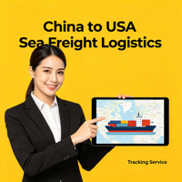 Transport maritime professionnel de conteneurs FCL DDP Chine vers les États-Unis pour les grandes expéditions Amazon FBA