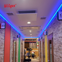 Maßgefertigte Heimdekoration KTV Club Bar Neon-LED-Lichtstreifen Dynamische Pixel RGBIC WS2811 Programmierbar 10 Jahre Garantie Außenbereich Gebäude