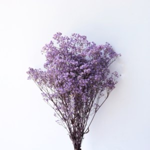 Fleurs séchées naturelles Gypsophila (Souffle de bébé) en gros, teinture écologique, directement de l'usine, pour décoration de mariage - Product Image 3