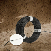Câble d'extension de puissance automobile en cuivre toronné 22 AWG, isolation PVC, 2 broches, pour bande LED basse tension