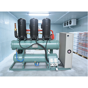 बड़े ठंडे कमरे प्रशीतन परियोजनाओं के लिए 100 टन समानांतर कंप्रेसर - Product Image 2