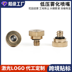 Dr. Boquilla de Pulverización Gigante de Latón con Orificios de 0.3mm, 0.4mm, 0.6mm y 0.8mm, Cabezal Atomizador para Pulverización Agrícola - Product Image 5