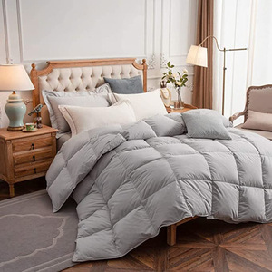 2025 Phổ Biến Thoải Mái Bông Ấm Mền Mô Hình Puffy Giường Duvet Quilted Comforter - Product Image 2