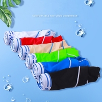 Sous-vêtements pour hommes en gros, été, taille basse, fins, respirants, en soie glacée, slips sexy pour hommes, bikini masculin