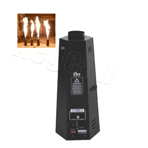 Offre Spéciale 150W Spray True Fire Dmx512 Machine à flamme télécommandée pour boîte de nuit Disco