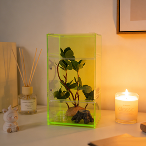 Grand récipient géométrique en acrylique vert fluorescent, idéal pour les plantes d'intérieur, les succulentes, les plantes aériennes pour la décoration de la maison - Product Image 6